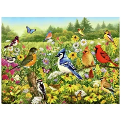 Ravensburger Legpuzzel Vogels in de Wei, 1000st.