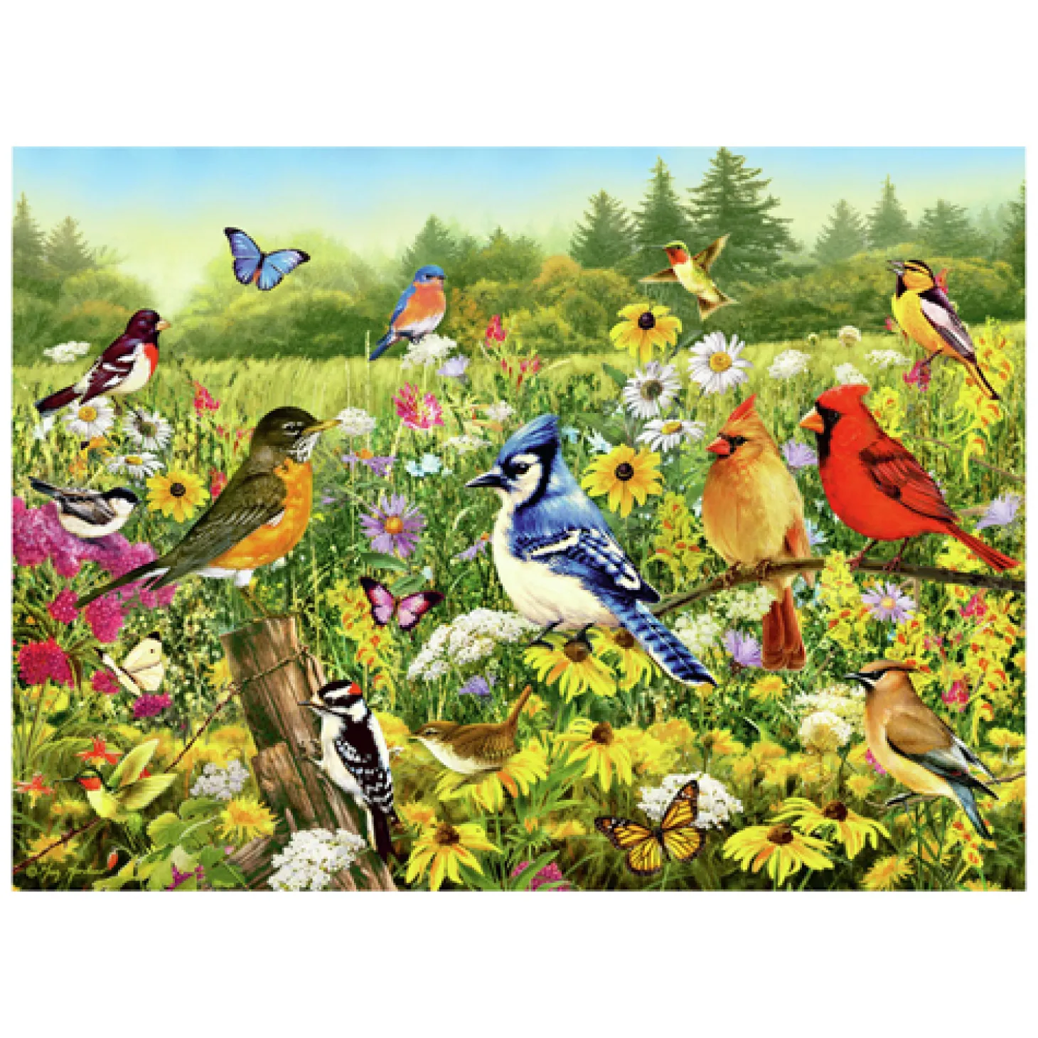 Ravensburger Legpuzzel Vogels in de Wei, 1000st.