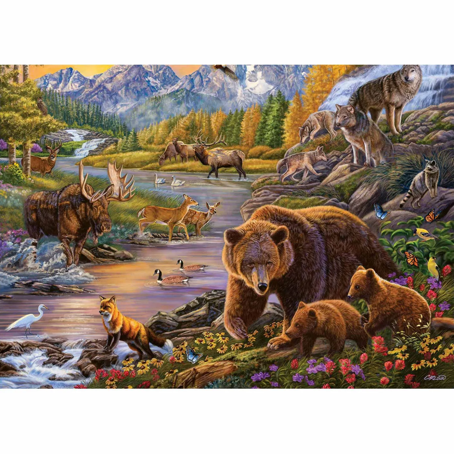 Ravensburger Wildernis, 500st.
