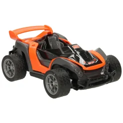 RC Bestuurbare Auto met Verwisselbare Bodies