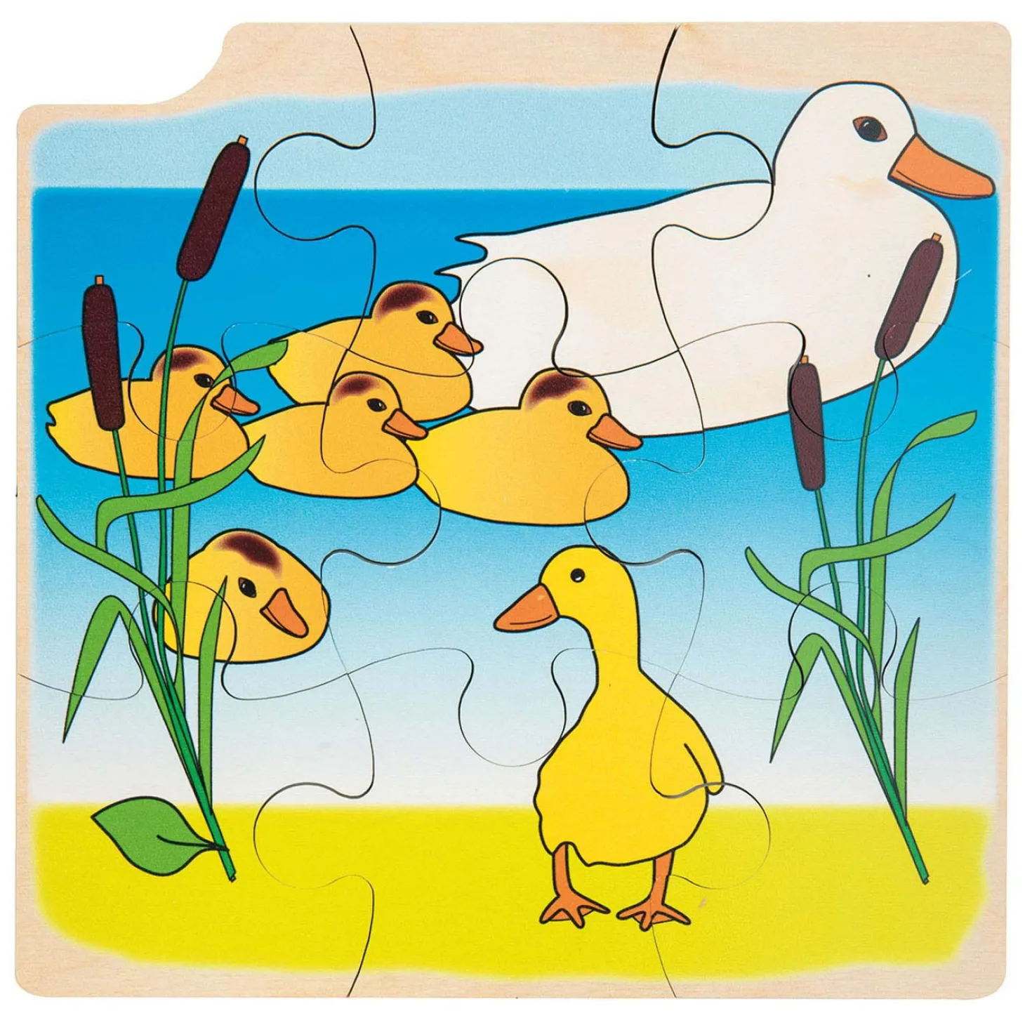 Rolf - Groei en 4 Lagenpuzzel, 36st.