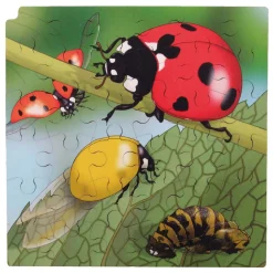 Rolf - Groei en 4 Lagenpuzzel Lieveheersbeestje - 86st.