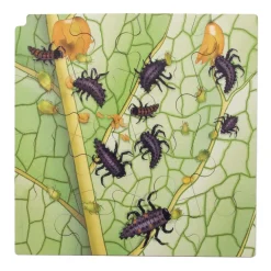 Rolf - Groei en 4 Lagenpuzzel Lieveheersbeestje - 86st.