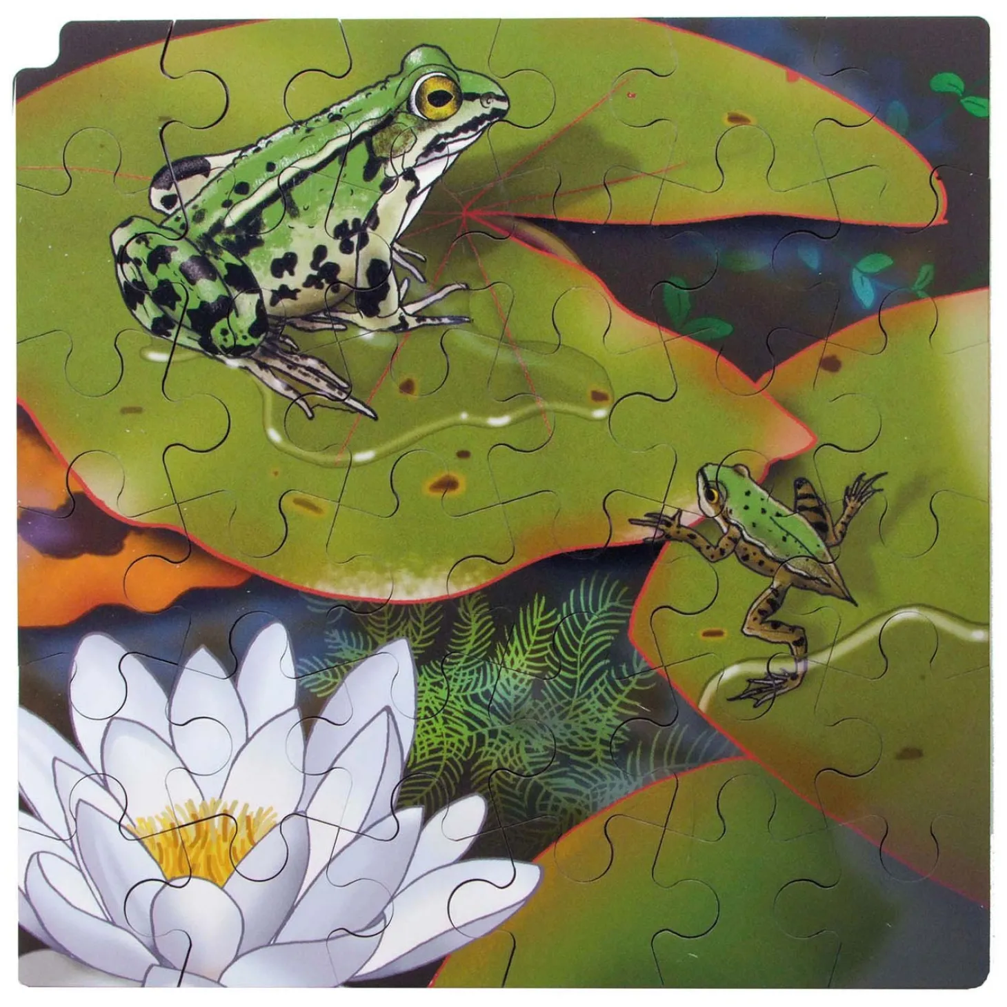 Rolf Connect - Groei en 4 Lagenpuzzel Hout Kikker, 86st.