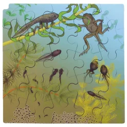 Rolf Connect - Groei en 4 Lagenpuzzel Hout Kikker, 86st.