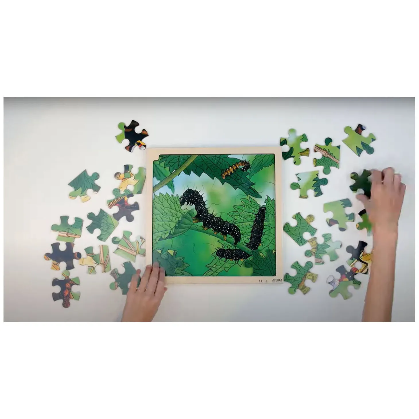 Rolf Connect - Groei en 4 Lagenpuzzel Hout Vlinder, 86st.
