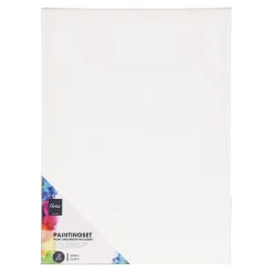 Schildersset met Canvas, Verf en Penselen