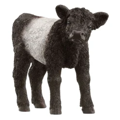 schleich FARM WORLD Galloway Kalf 13969