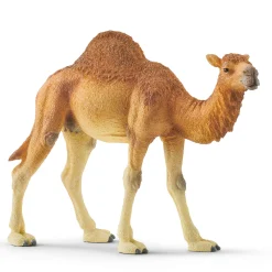 schleich WILD LIFE Dromedaris 14832