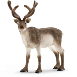 schleich WILD LIFE Rendier 14837