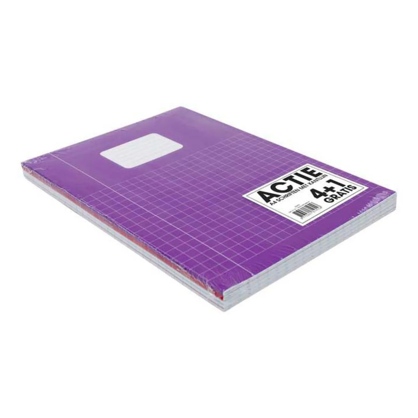 Schrift SOHO Trend A4 Ruit