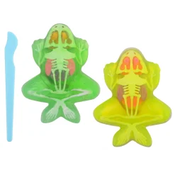 Science Explorer Kikker Anatomie Slijm