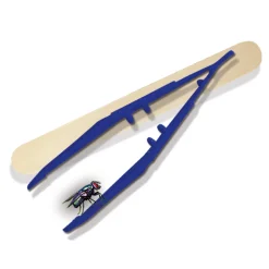 SES Explore - Insecten Explorer