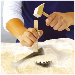 SES Explore Dino en Skelet Opgraven 2in1 - Triceratops