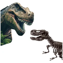 SES Explore Dino en Skelet Opgraven 2in1 - T-Rex