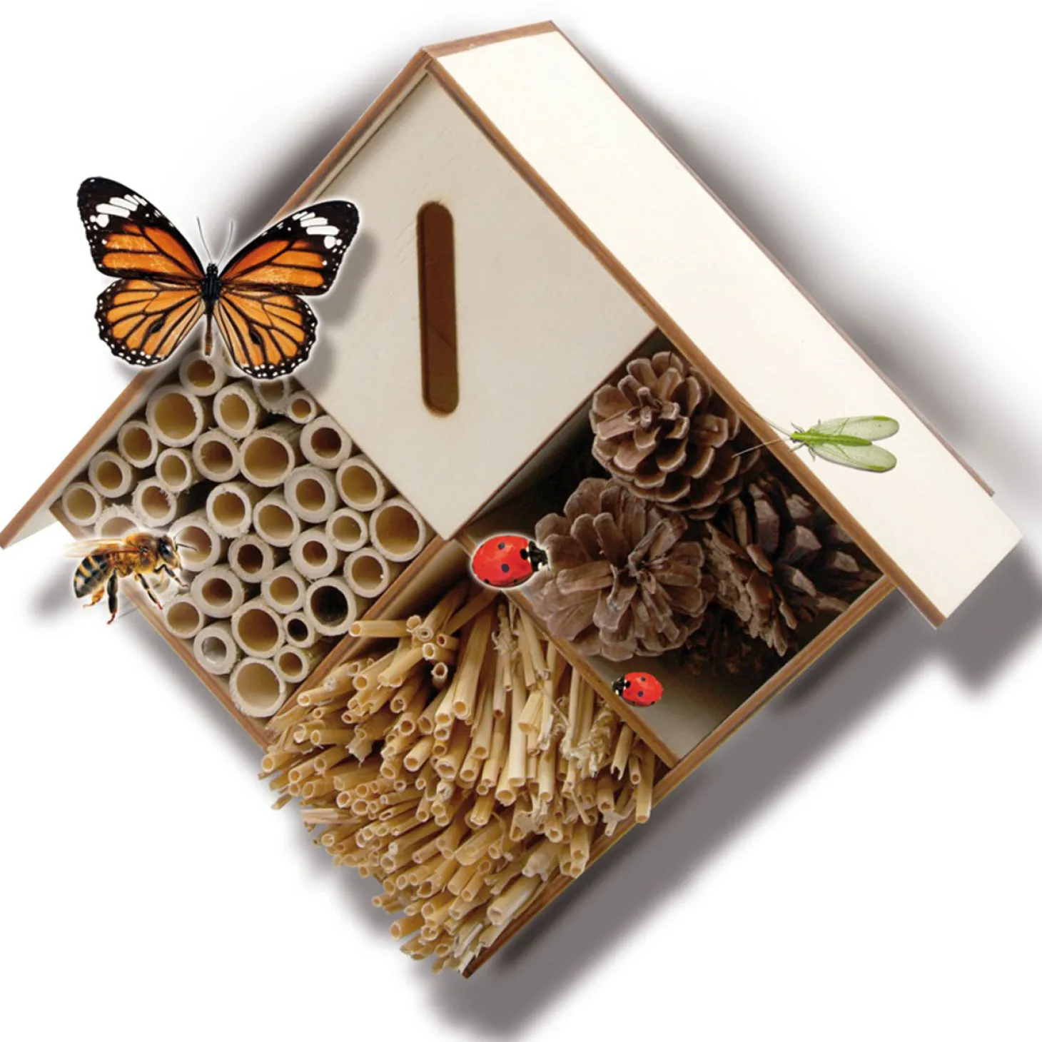 SES Insecten Hotel Knutselen