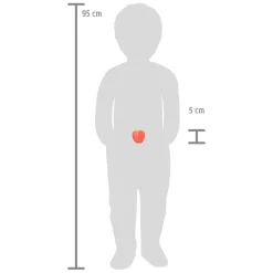 Small Foot - Houten Snij- en Speeleten Fruit Set, 13dlg.