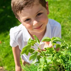 Smoby Garden Kitchen Outdoor Tuinkeuken