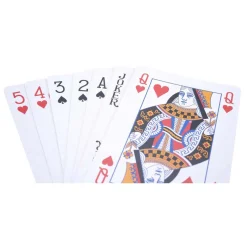 Speelkaarten Longfield geplastificeerd