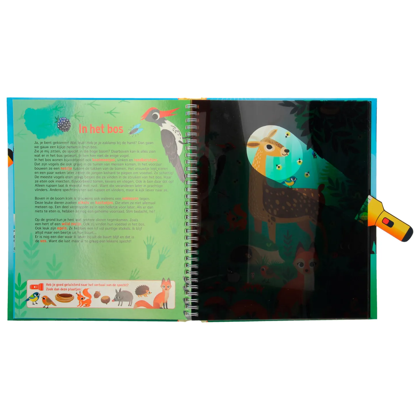 Speuren in de Dierenwereld + kartonnen zaklamp