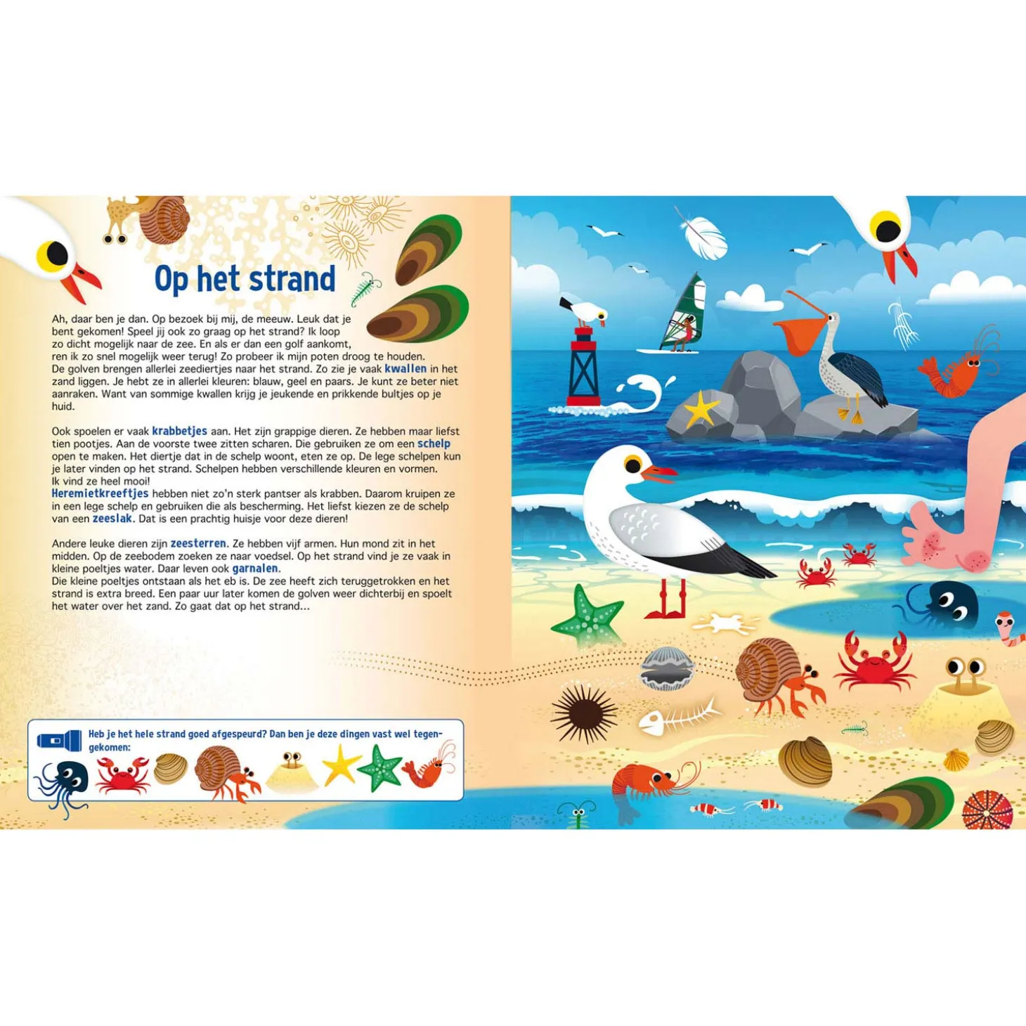 Speuren in de Dierenwereld + kartonnen zaklamp