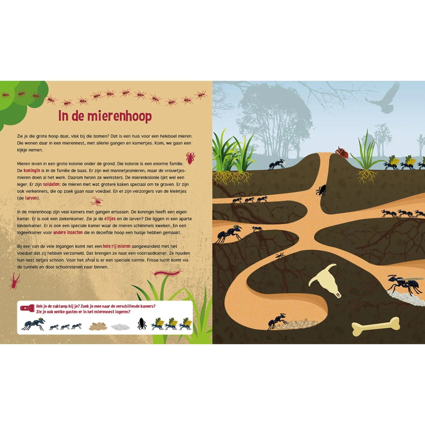 Speuren onder de Grond + kartonnen zaklamp