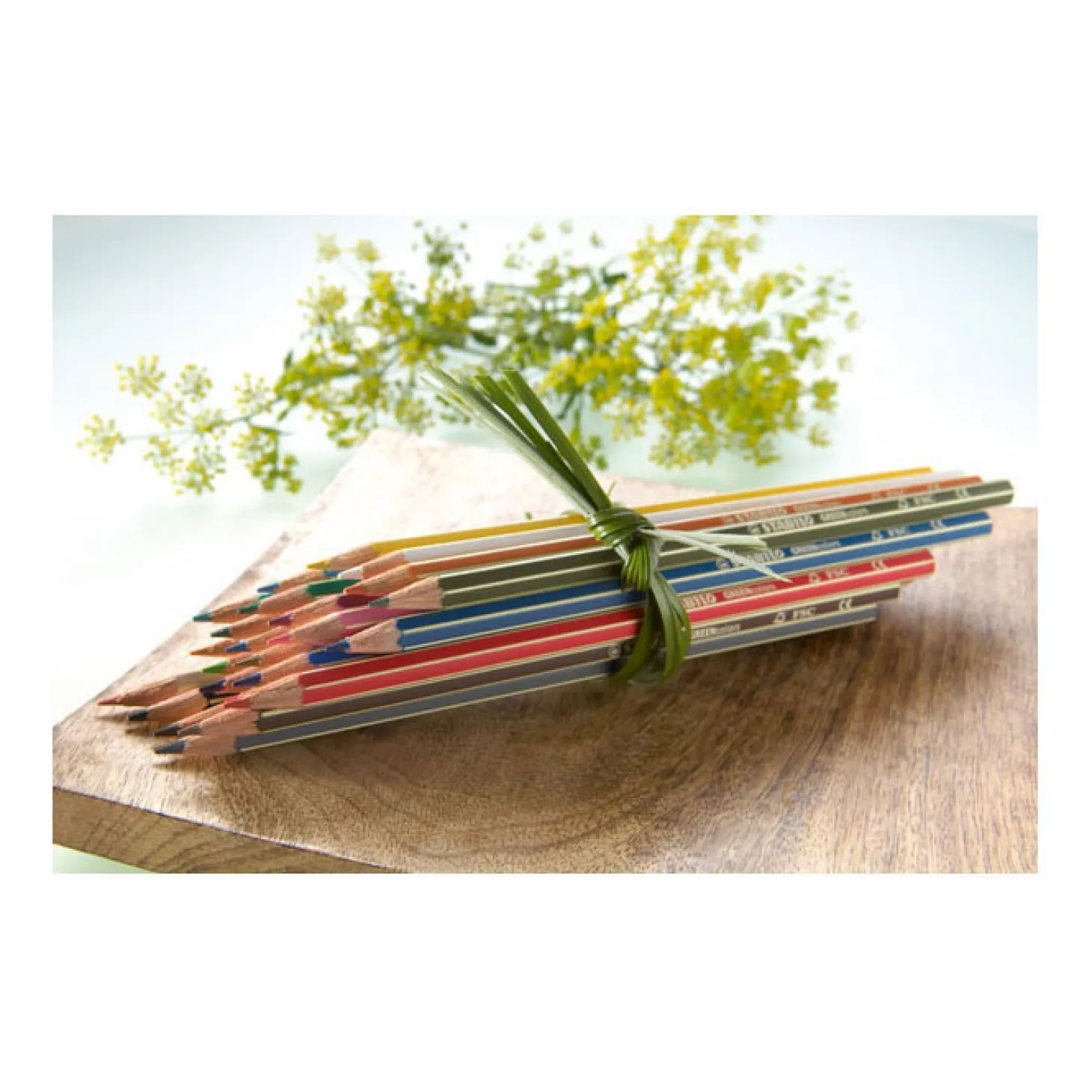 STABILO GREENcolors - Kleurpotloden - ARTY - Set 12 Stuks