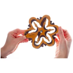 Star Path Breinpuzzel