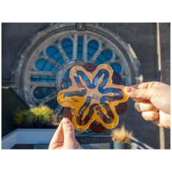 Star Path Breinpuzzel