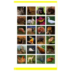 Stickerpret - Ik leer de dieren kennen