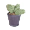 Take Me Home Knuffel Plant Pluche - Donkergrijze Pot Lichtgroen Blad