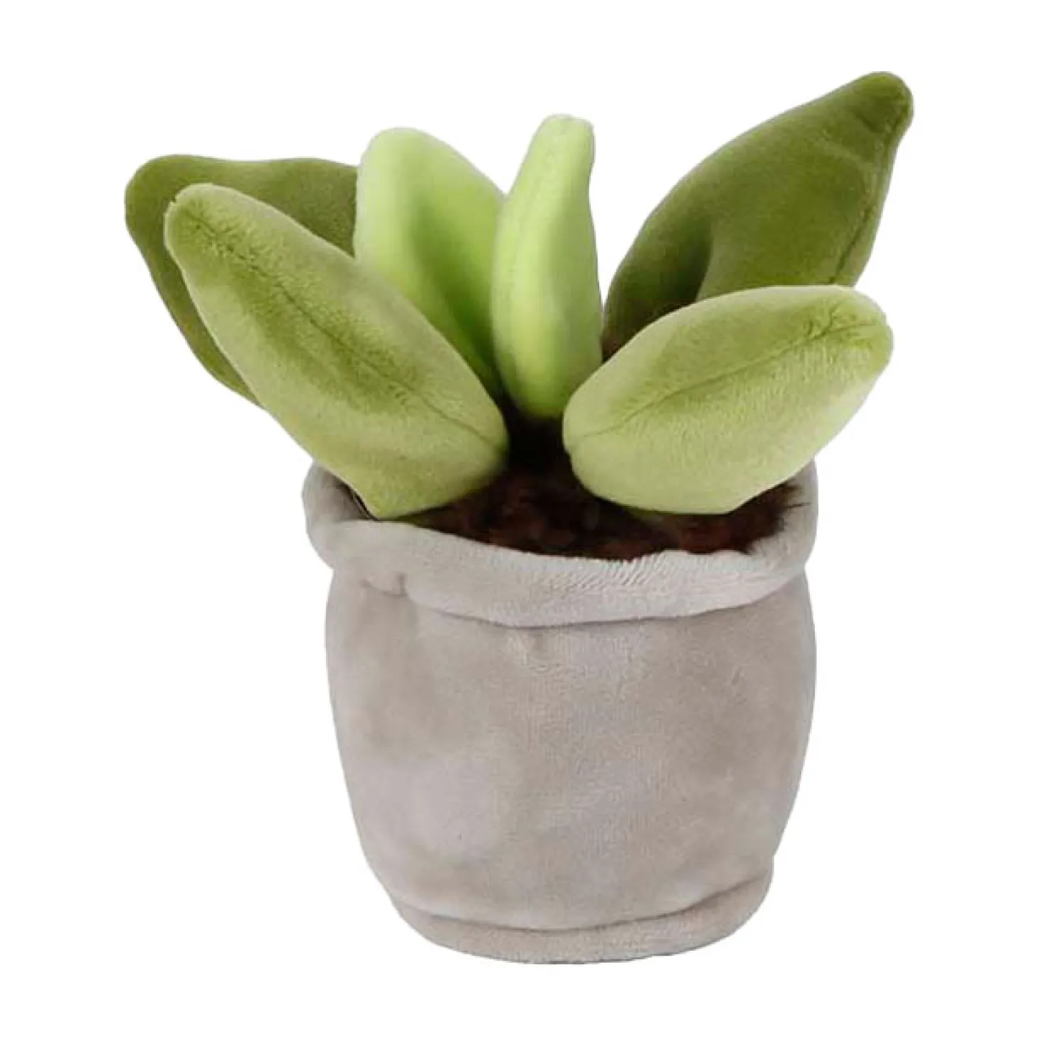 Take Me Home Knuffel Plant Pluche - Vetplant, 12-17cm