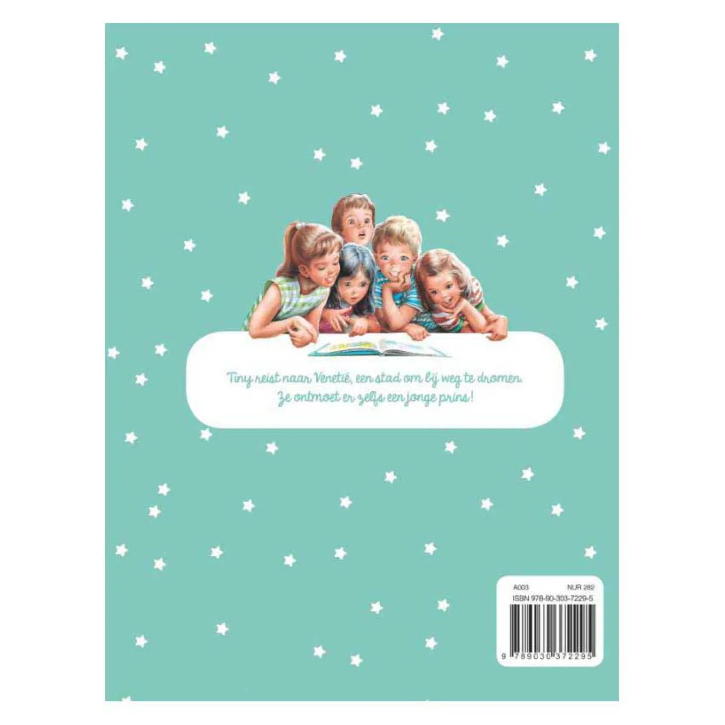 Tiny en de geheimzinnige prins