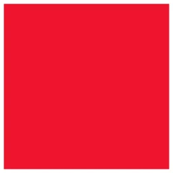 Tissuepapier Rood 10 Vellen 14 gr, 50x70cm