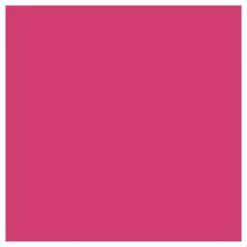 Tissuepapier Roze 10 Vellen 14 gr, 50x70cm