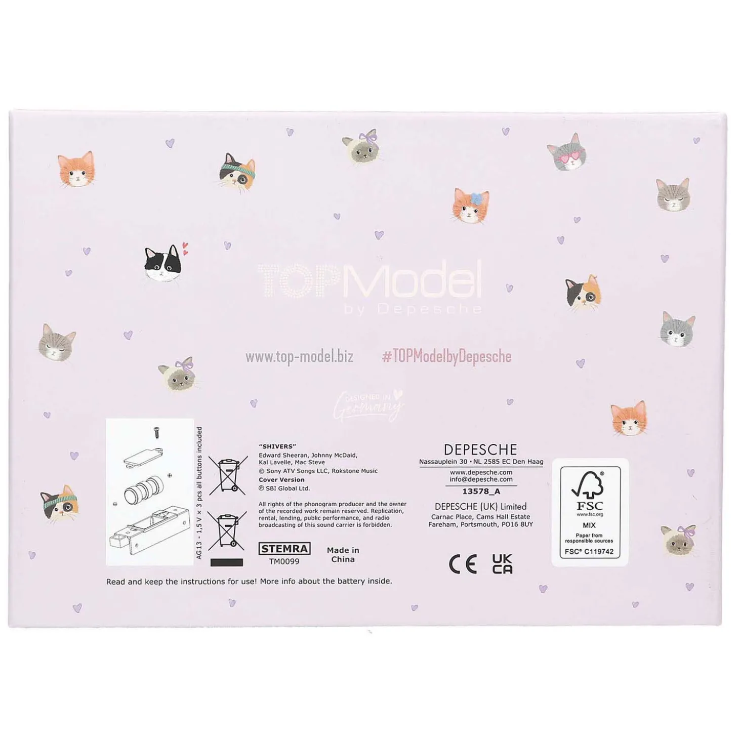 TOPModel Grote Sieradendoos met Code en Geluid Cat Love