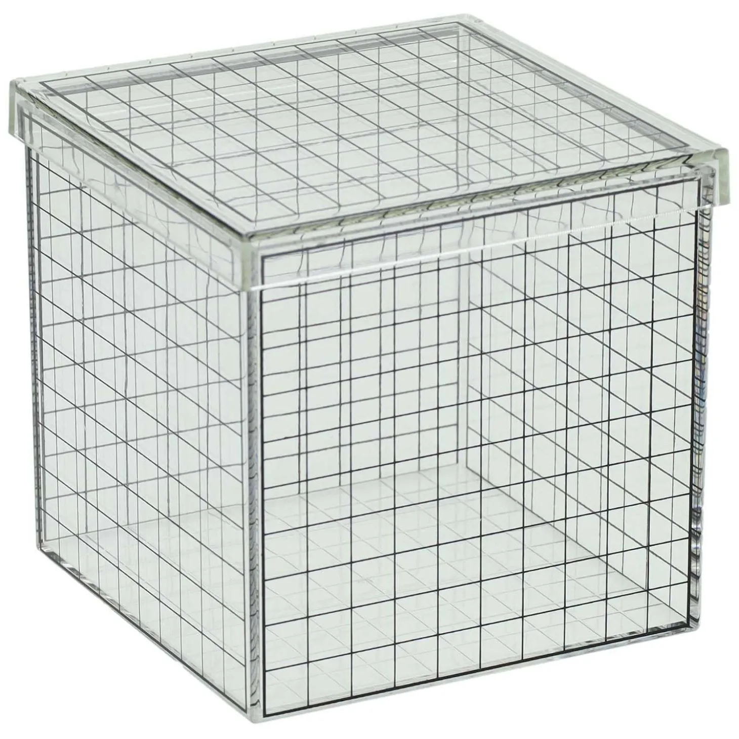 Transparante 3D Rasterkubus - 10x10x10 cm