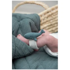 Trixie Armbandrammelaar  - Walvis