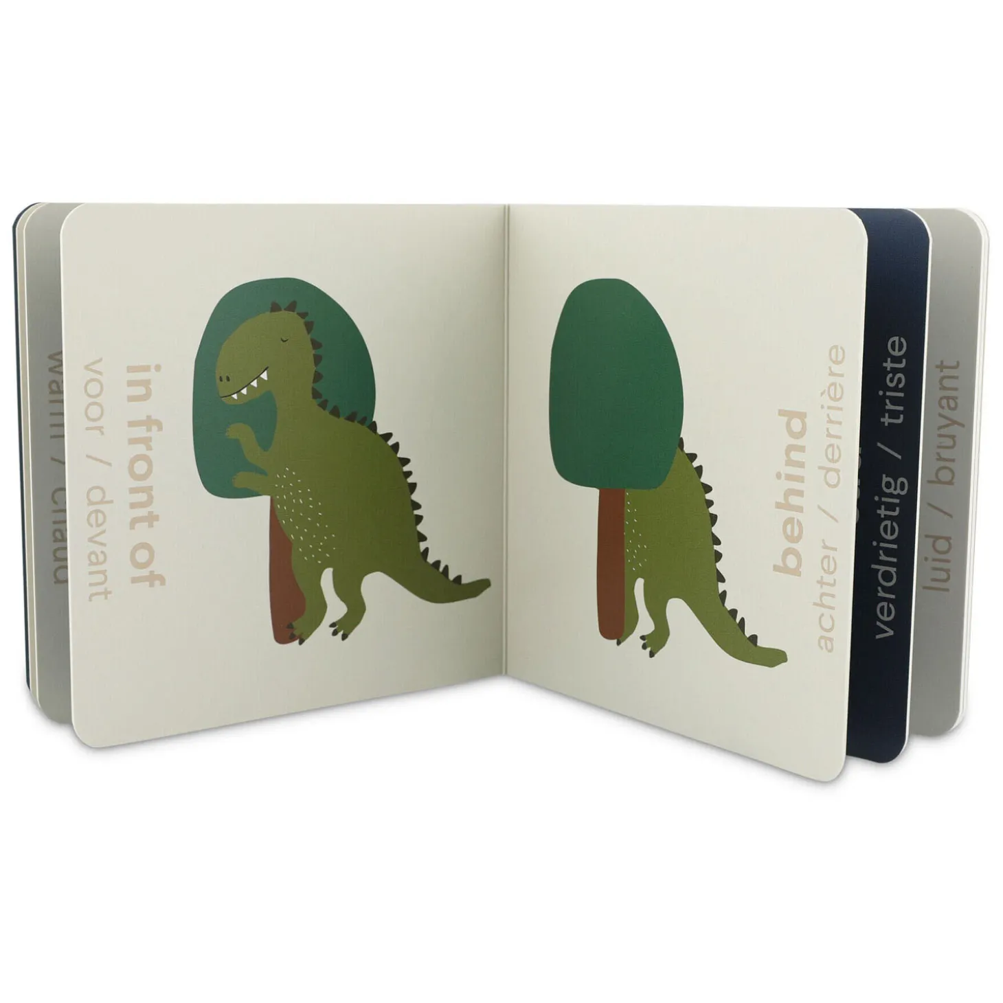 Trixie Boek met Tegenstellingen