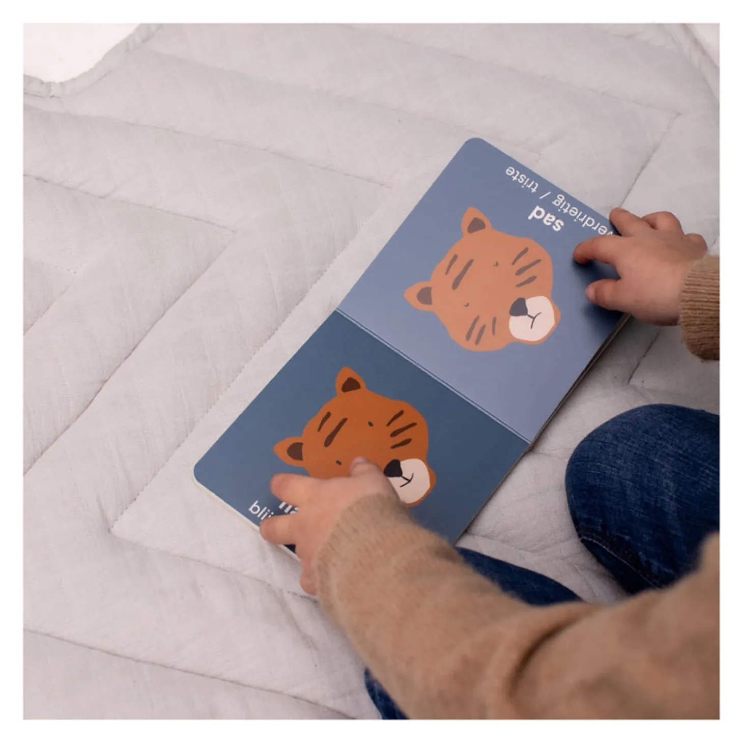 Trixie Boek met Tegenstellingen