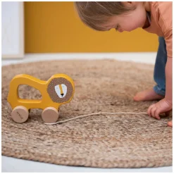 Trixie Houten Trekfiguur - Mr. Lion