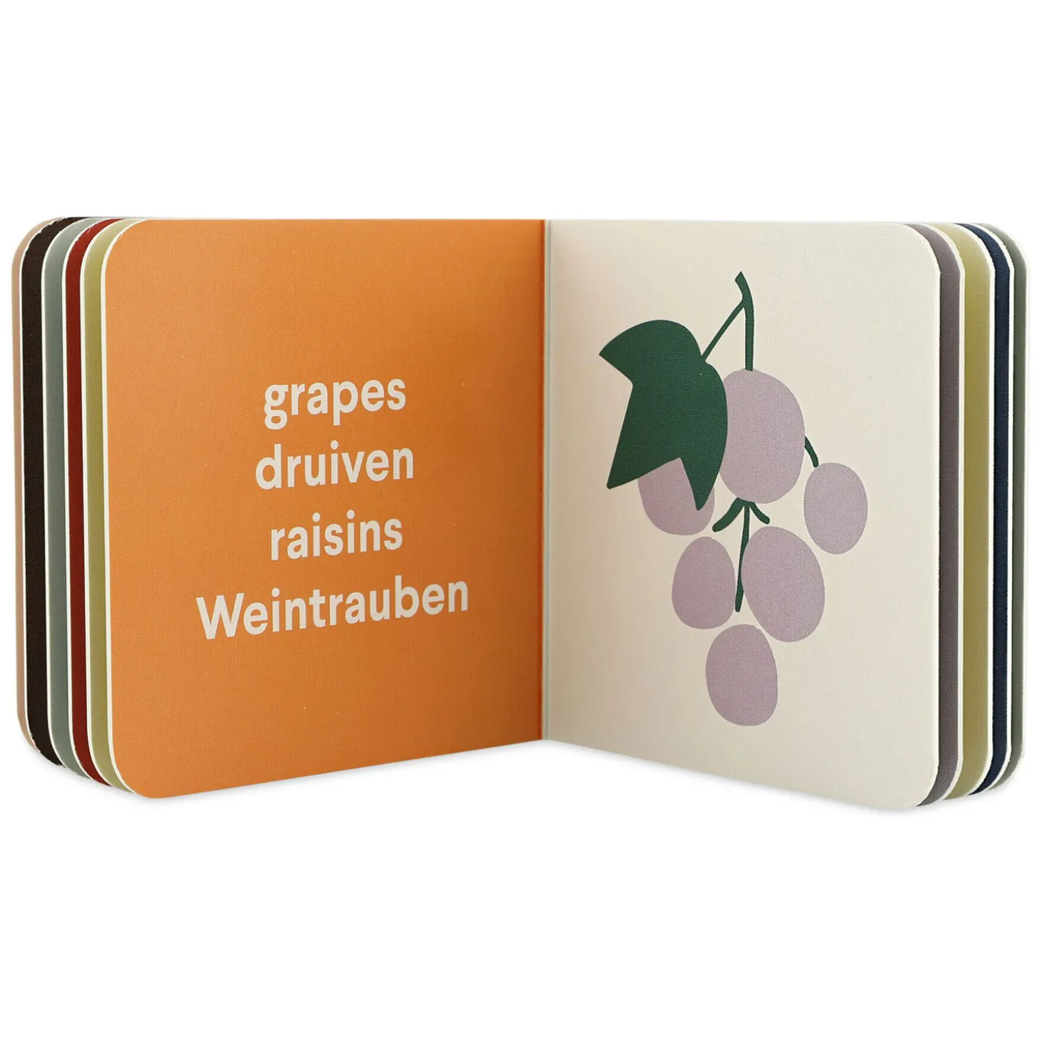 Trixie Kleine Bibliotheek - Kleding, Fruit, Voertuigen, Instrumenten