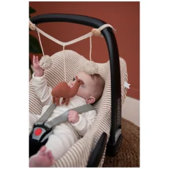 Trixie Wagenspanner  - Kameel