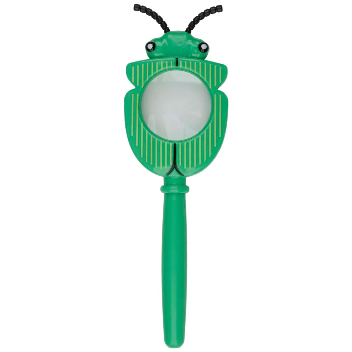 Vergrootglas Insect