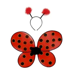 Verkleedset Lieveheersbeestje, 3-4 jaar