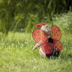 Verkleedset Lieveheersbeestje, 3-4 jaar