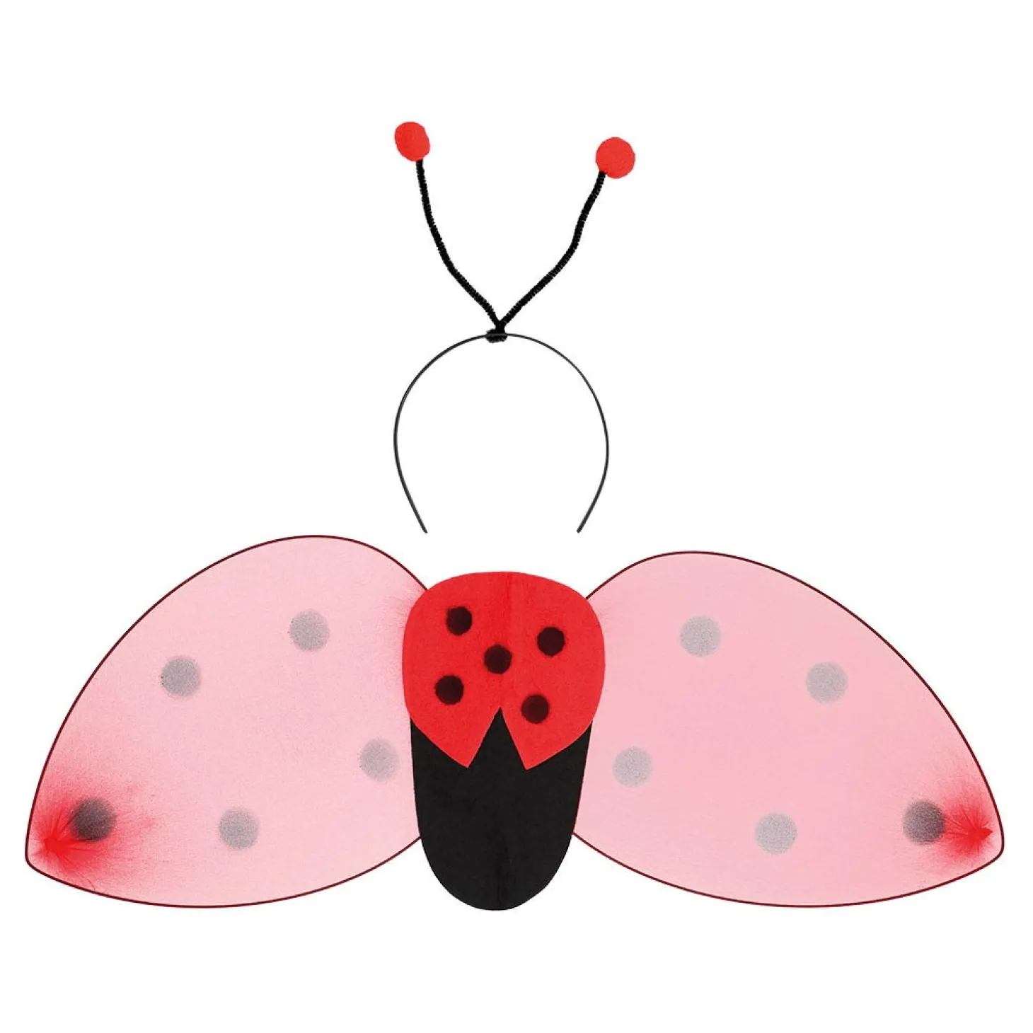 Verkleedset Lieveheersbeestje