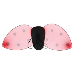 Verkleedset Lieveheersbeestje