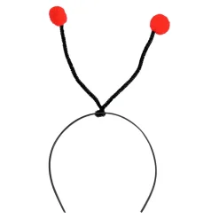 Verkleedset Lieveheersbeestje