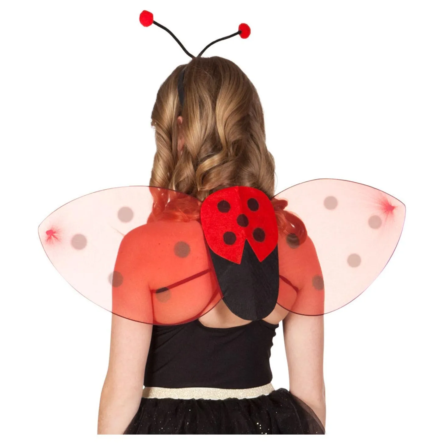 Verkleedset Lieveheersbeestje